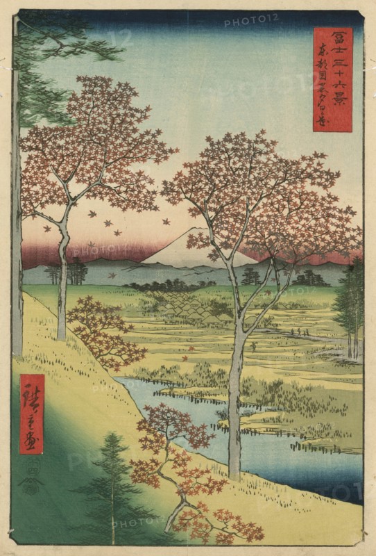Twilight Hill at Meguro: From 'Thirty-six View of Mount Fuji'  1858