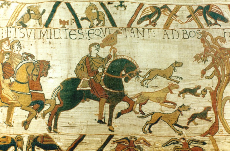Bayeux Tapestry