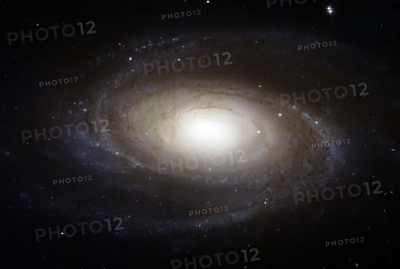 Bright Spiral Galaxy M81