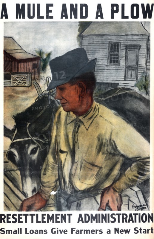 "A mule and a plow"