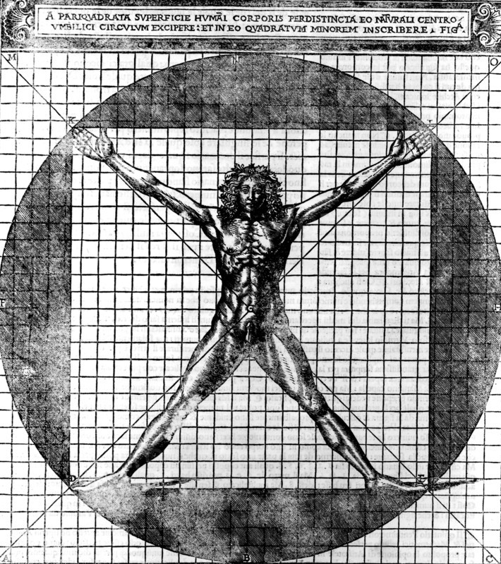 Proportions of the human body