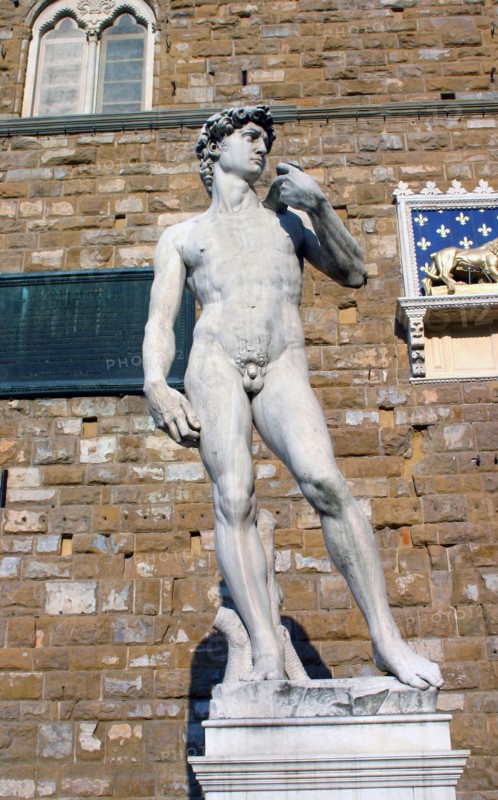 Copy of Michelangelo, Statue of David