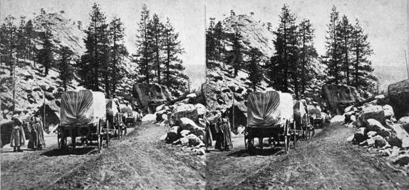 Emigrant Train