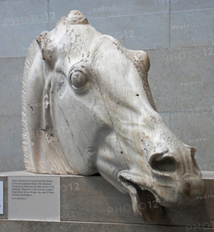 Head of a horse of Selene