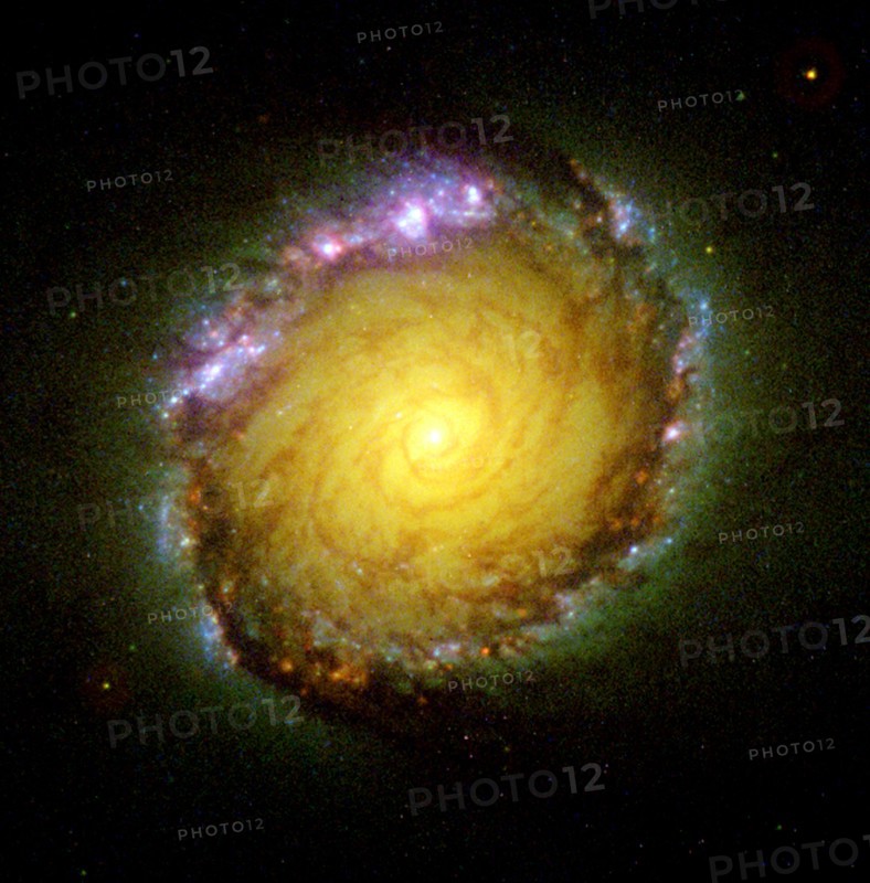 Barred Spiral Galaxy NGC 1512 in Many Wavelengths