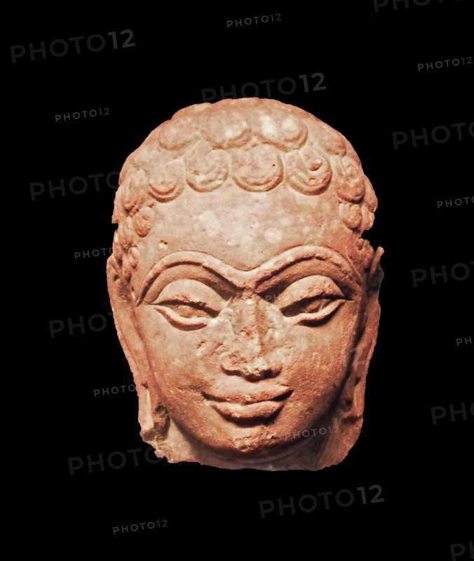 Head of Jina