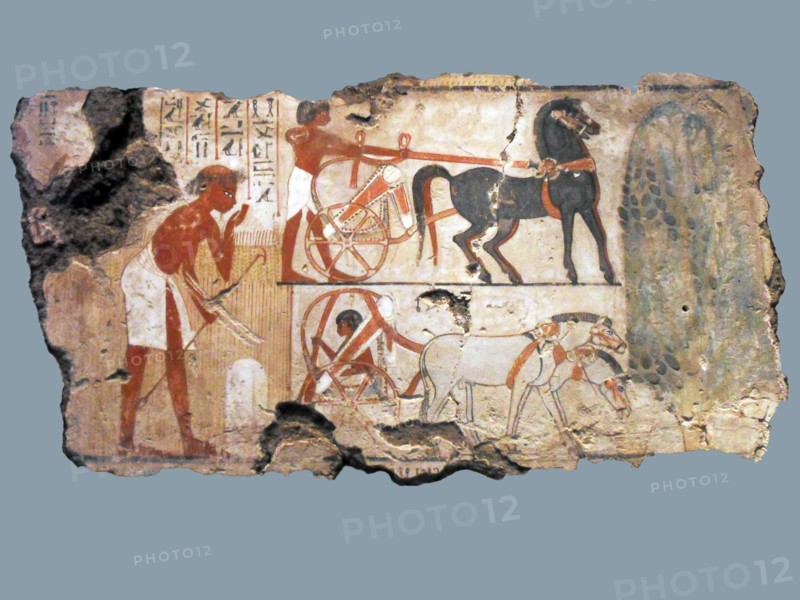Nebamun was the accountant in charge of grain at the great temple