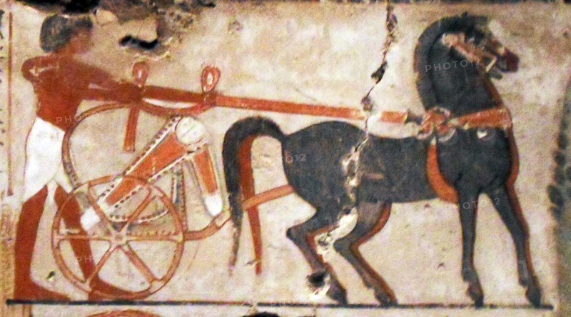 Nebamun was the accountant in charge of grain at the great temple