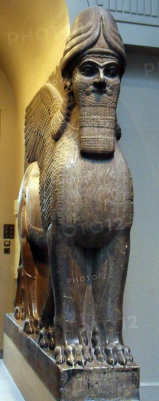 Winged human headed Lion