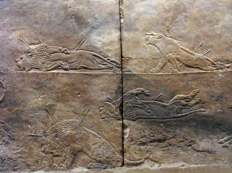 royal lion hunt Assyrian