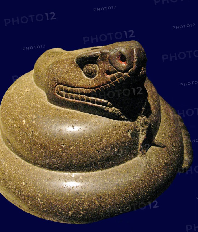 Stone Rattlesnake