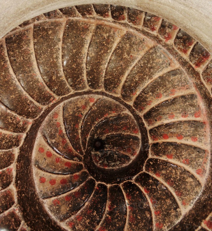 Stone Rattlesnake