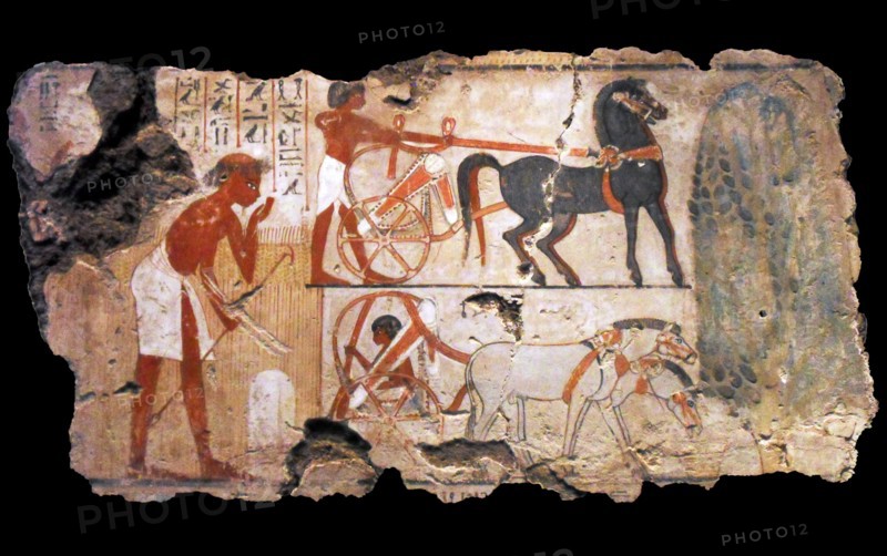 Nebamun was the accountant in charge of grain