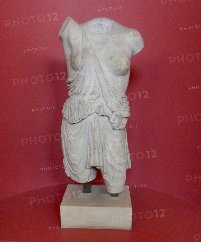 Torso of an Amazon