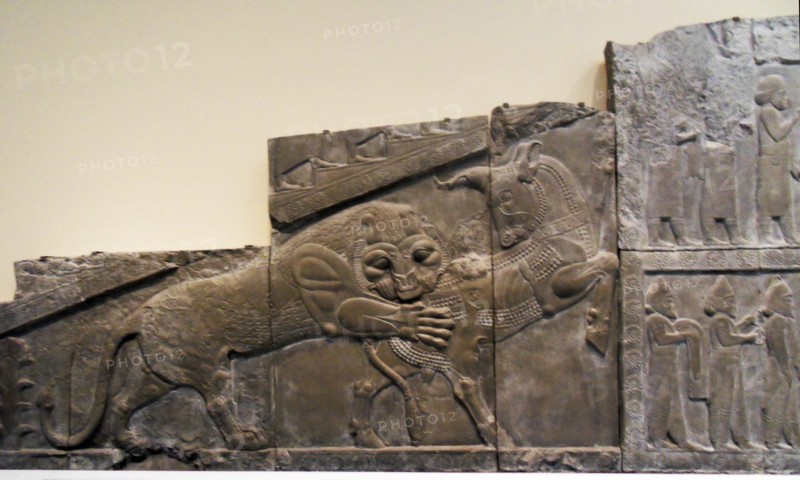 Persepolis was an important city at the heart of the Persian Empire