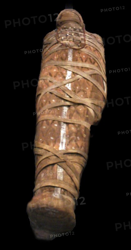 Mummy of a man with amuletes n a frame