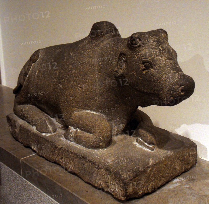 Nandi