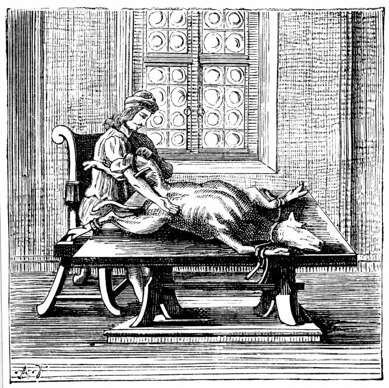 Animal-to-man blood transfusion