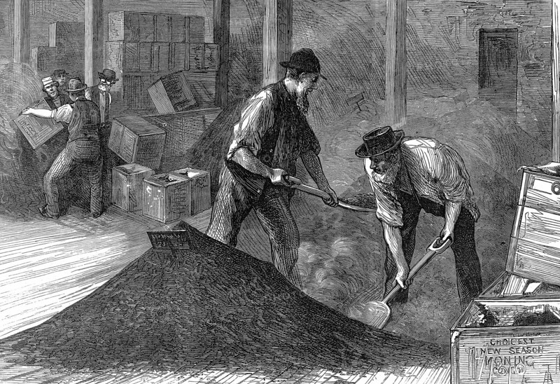 Tea warehouses of the East & West India Dock Company, London