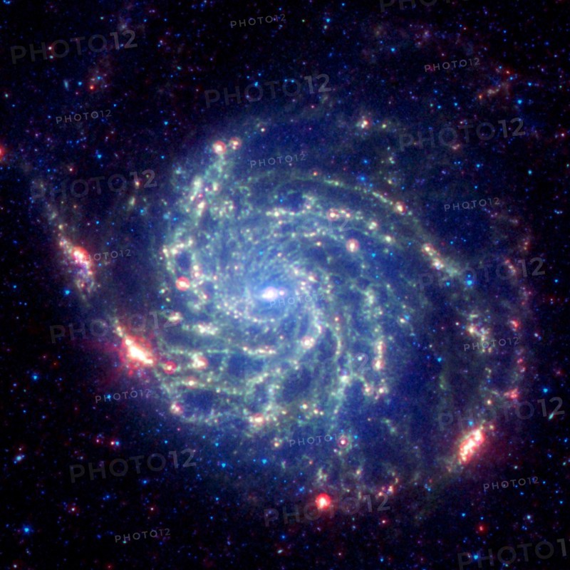 The galaxy Messier 101