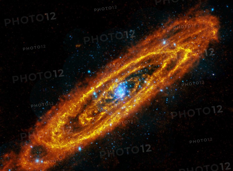 The Andromeda Galaxy