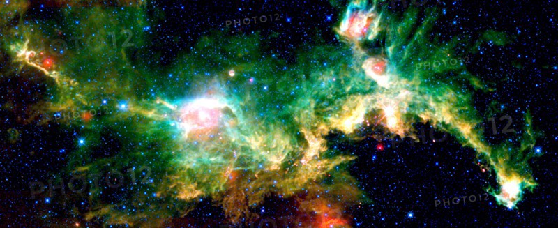 The Seagull nebula