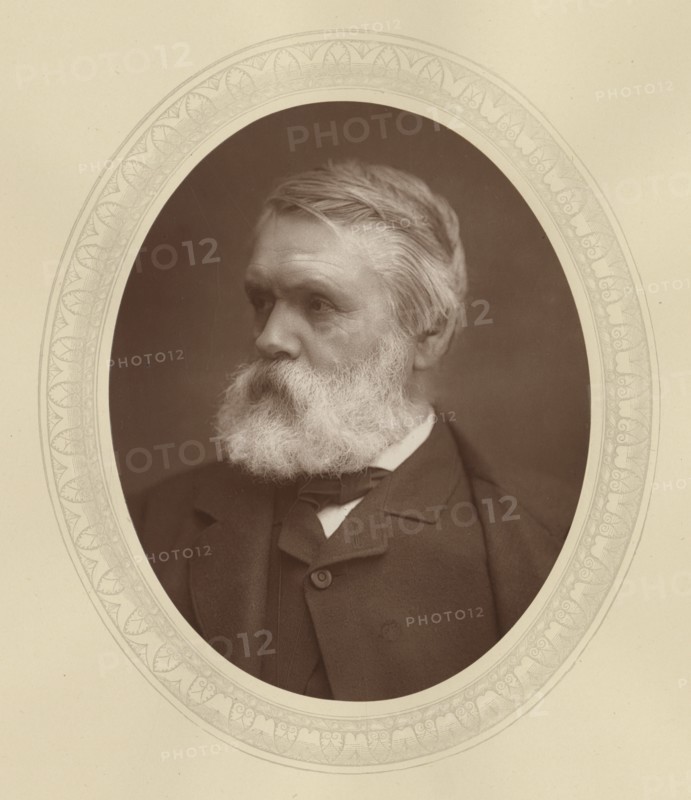 Tom Taylor