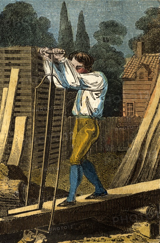 Sawyers cutting wood