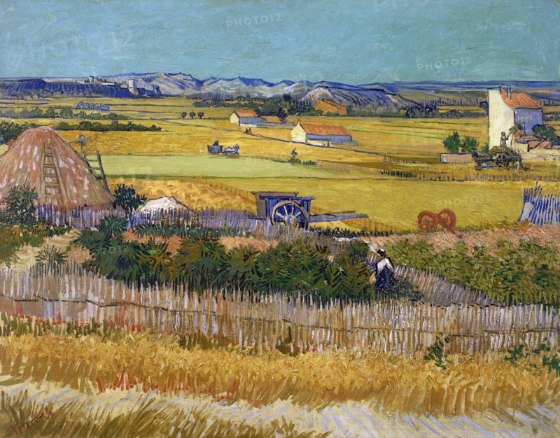 Van Gogh, The Harvest