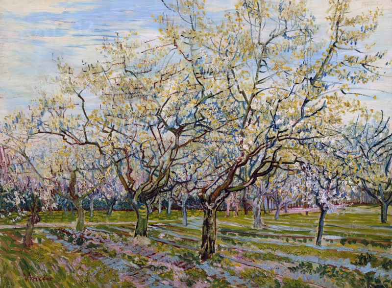 Van Gogh, The White Orchard