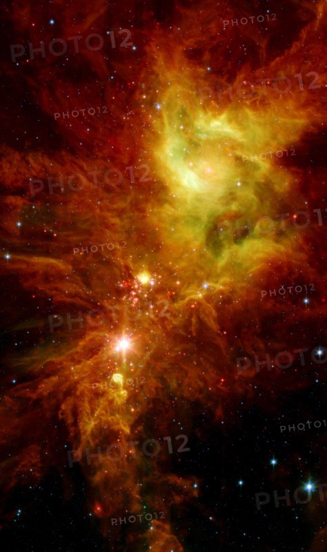 Newborn stars