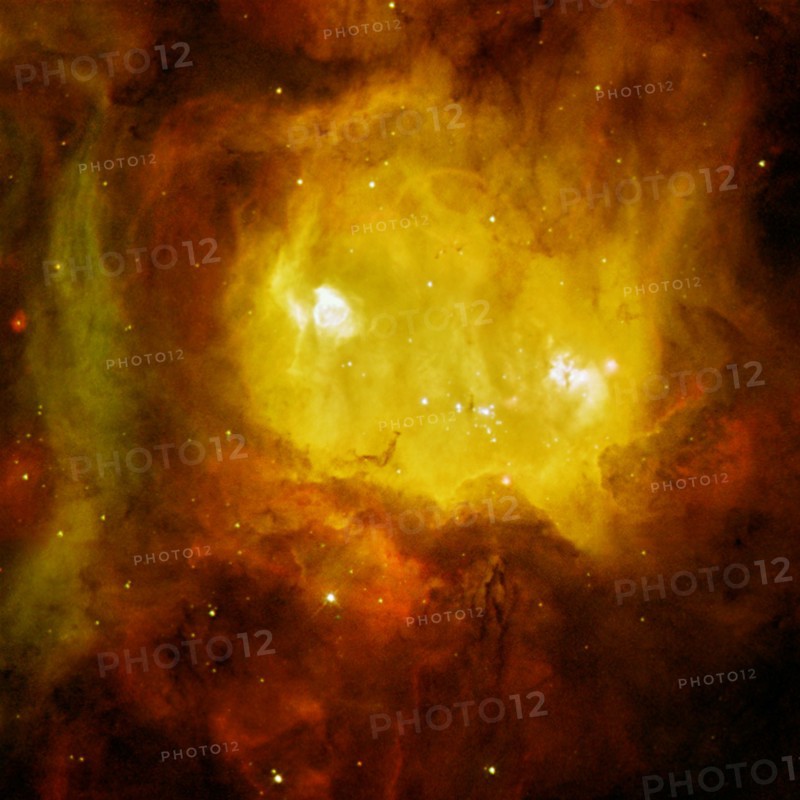 NGC 2080, nicknamed 'The Ghost Head Nebula