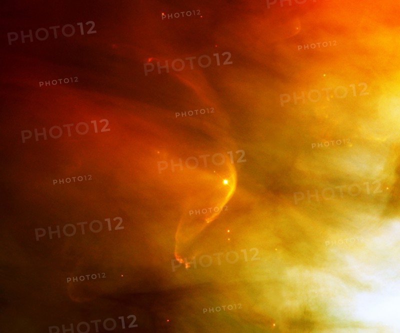 The star LL Ori