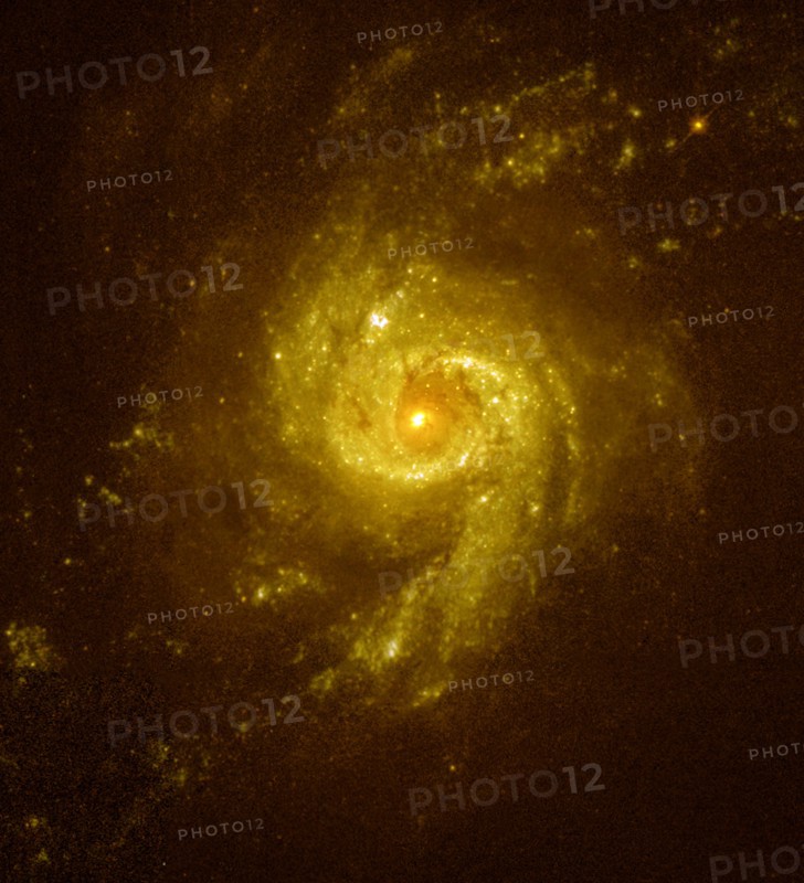 The galaxy NGC 3310