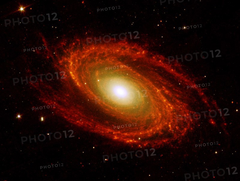 The spiral arms of the nearby galaxy Messier 81