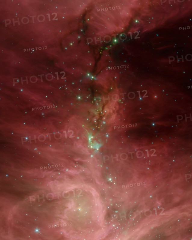 The Orion nebula