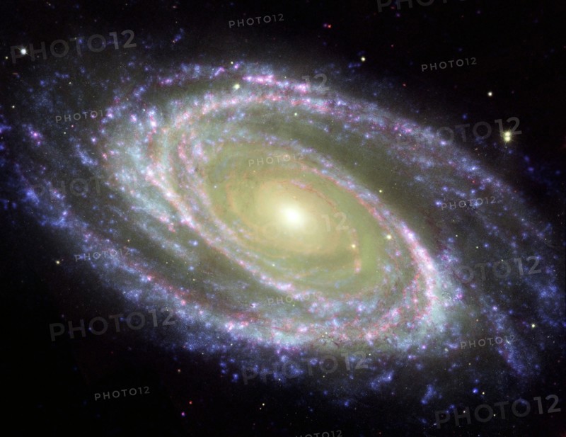 The spiral galaxy known as Messier 81
