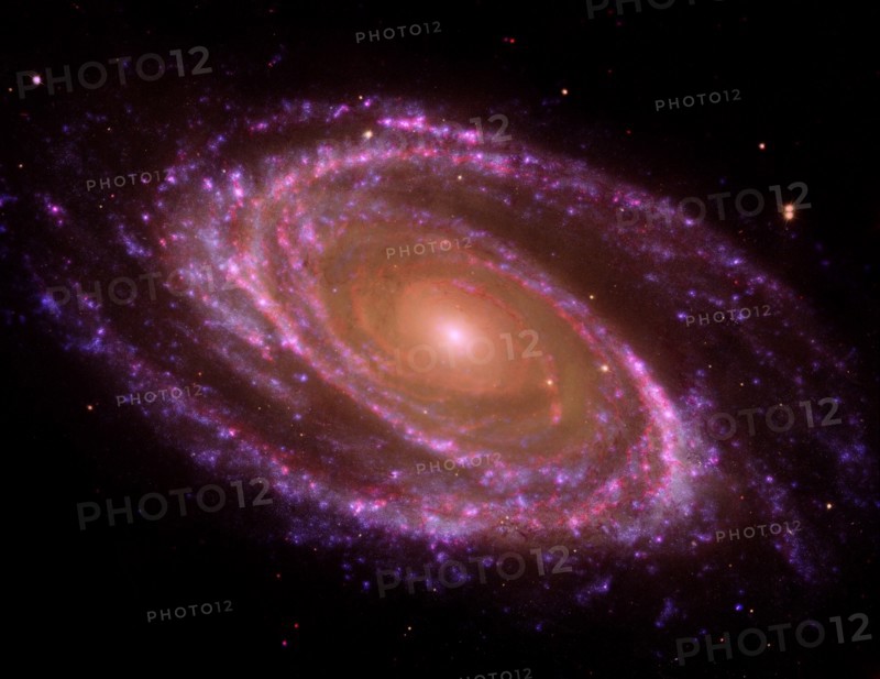 The spiral galaxy known as Messier 81