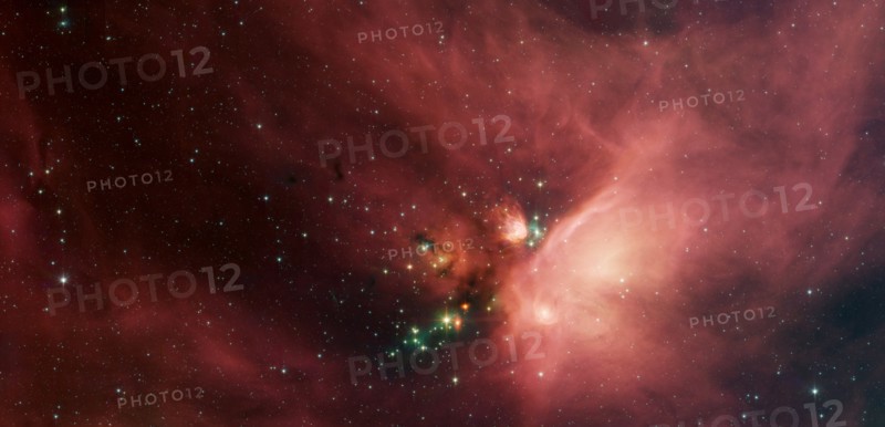 Dynamic image of the Rho Ophiuchi dark cloud