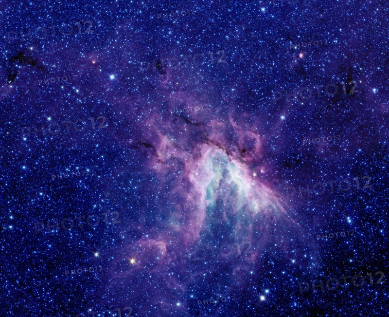 A star-making cloud called M17
