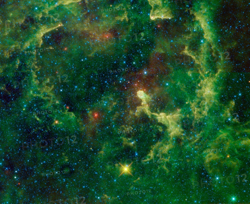 The Elephant's Trunk nebula