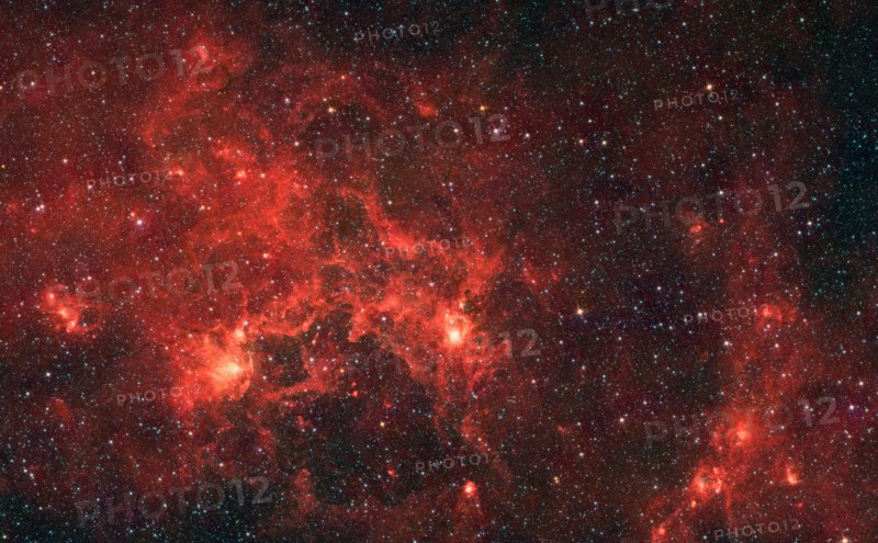 The nebula nicknamed 'the Dragonfish