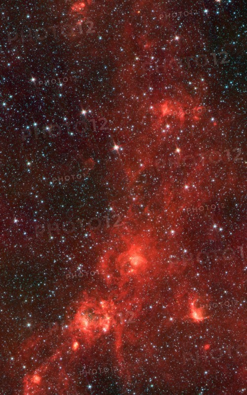 Nebula nicknamed 'the Dragonfish