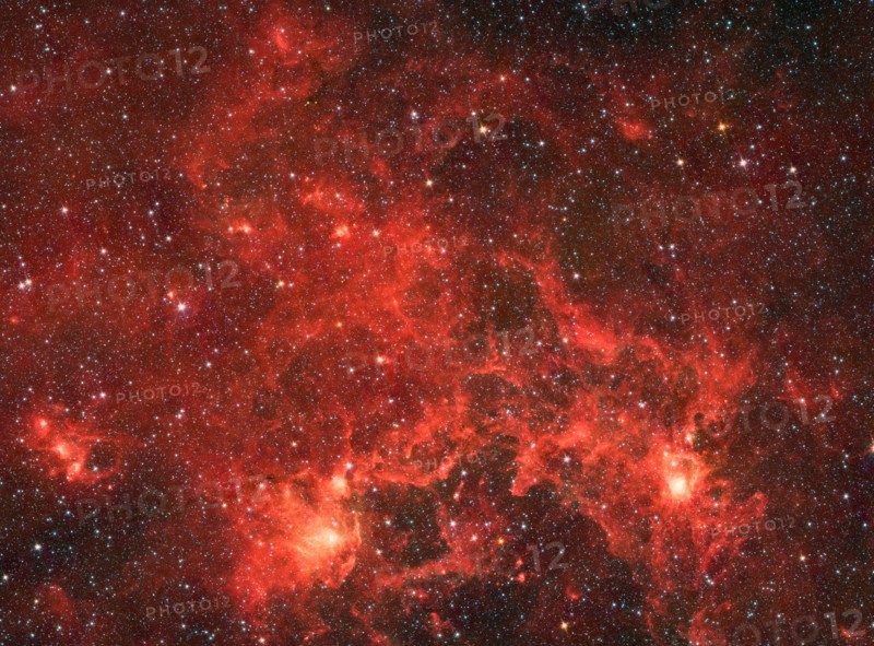 The nebula nicknamed 'the Dragonfish.' This turbulent region, jam-packed with stars, is home to some of the most luminous massive stars in our Milky Way galaxy. It is located approximately 30,000 light-years away in the Crux constellation. Spitzer.