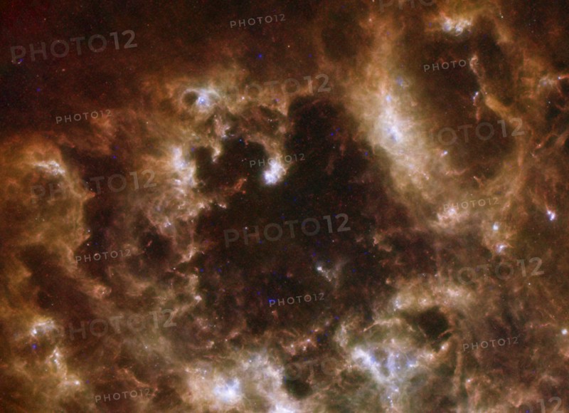 The Large Magellanic Cloud galaxy