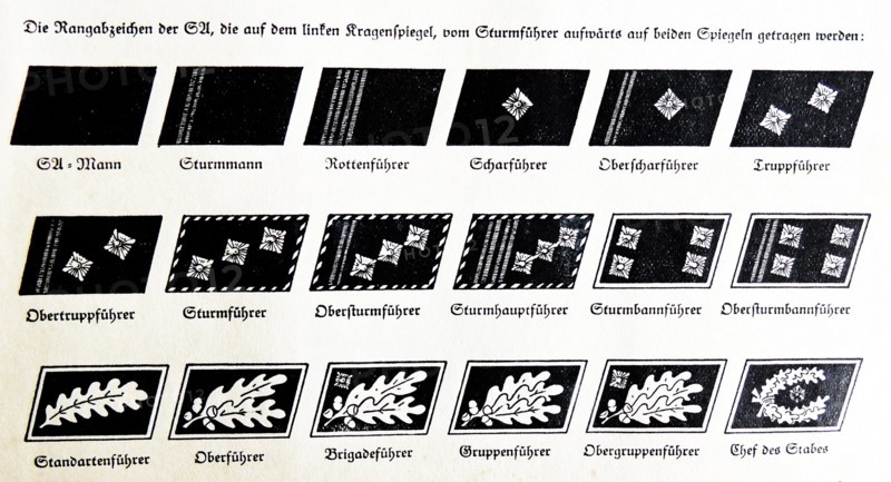 Rank insignia in the Nazi Party, 1934