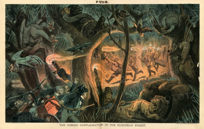 Satirical cartoon called "The Coming Conflagration in the Europen Forest".