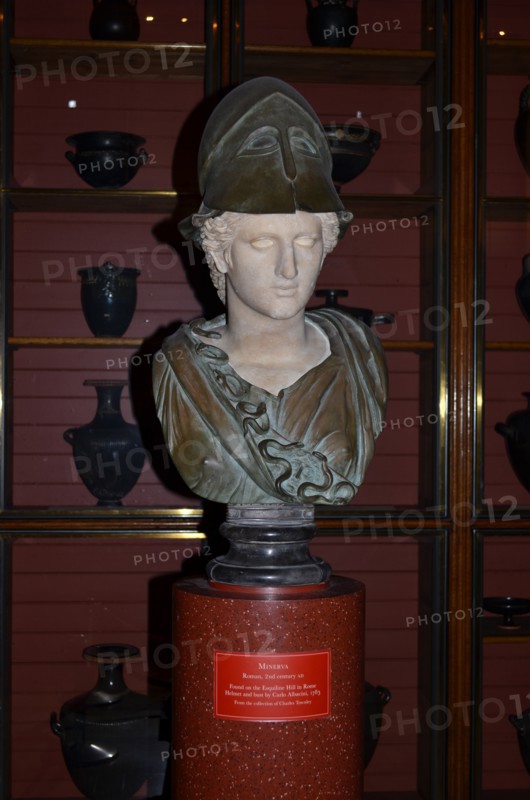Marble Bust of Minerva 2nd Century AD