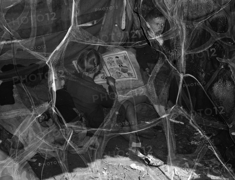 Children of migrant packing house workers, living in a lean-to made of pieces of rusty tin 19390101