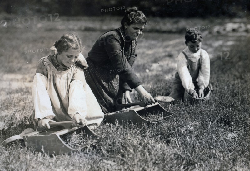 Child labour in America, 1911
